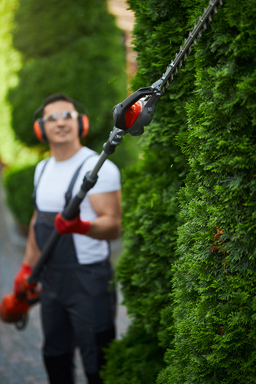 Fencing & Garden Structures